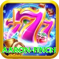 aaron finch Deluxe Pro v4.0.3