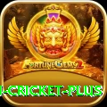 afghanistan cricket - Slots Max