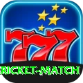 all cricket match Turbo Pro v4.6.3