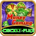 all cricket Slots Legend v5.7.9