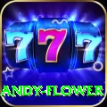 andy flower Gold Edition v5.3.1