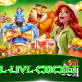 bpl live cricket Deluxe Edition v3.8.0