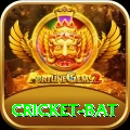 cricket bat Pro1 v3.0.9