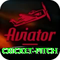 cricket pitch Master v2.8.2