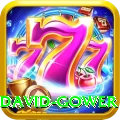 david gower Elite Pro v2.1.0