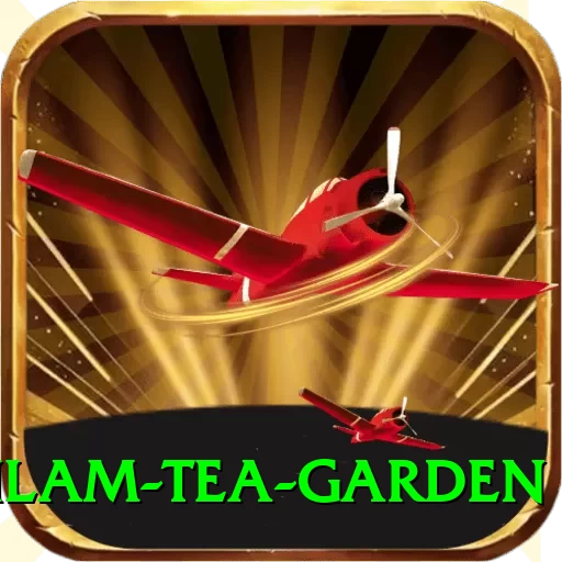 hile ilam tea garden VIP v1.6.6 - 2