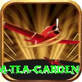 hile ilam tea garden VIP v1.6.6