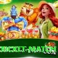 india cricket match Plus Pro v2.3.3