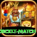 india pakistan cricket match Turbo v5.1.5