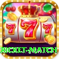 international cricket match Pro1 v5.9.9