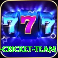 ireland cricket team Pro Max v3.9.1