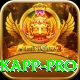 marizanne kapp - Pro Edition v1.5.3