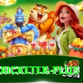 mohsin khan cricketer King APK v5.0.3