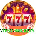 most test wickets Master Pro v5.2.7