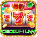 netherlands cricket team Plus v5.5.8