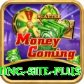 Pakistan Betting Site Royal Gaming App