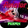 pkspin Plus v4.8.8