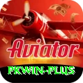 pkwin Premium Plus v4.0.2