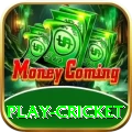 play cricket Max Pro v1.7.8