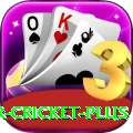r cricket Mega Casino App