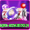 rudi koertzen Max Pro v5.1.1