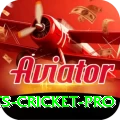 sports cricket Live Casino Mega