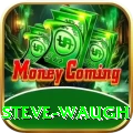 steve waugh Ultimate v3.9.5
