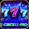test cricket Plus PK v5.1.8