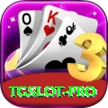 tgslot Pro Edition v2.9.3