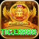 tiger888 Premium Plus vv4.1.9