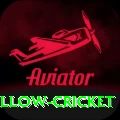 willow cricket Gold Edition v2.0.9